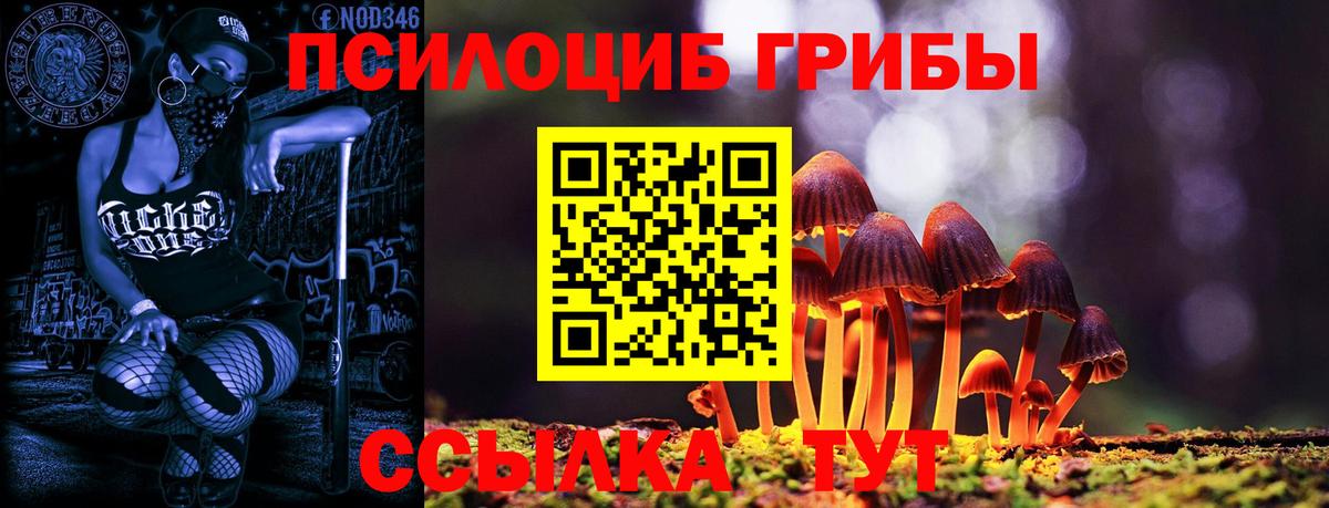 Галлюциногенные грибы Magic Shrooms  Вход с VPN  Златоуст 